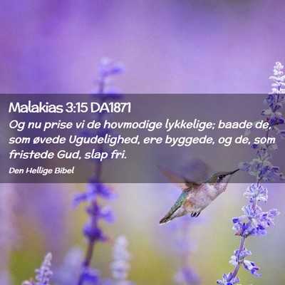 Picture 02 - Malakias 3:15 DA1871 - Og nu prise vi de hovmodige lykkelige; baade de, - Bible Verse Picture