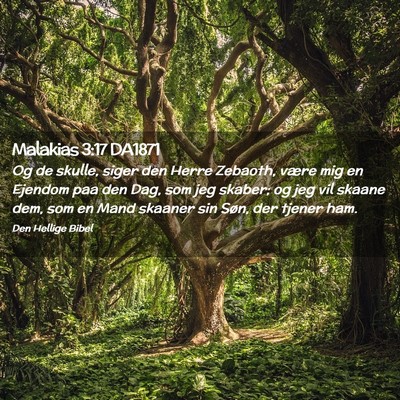 Picture 02 - Malakias 3:17 DA1871 - Og de skulle, siger den Herre Zebaoth, være mig - Bible Verse Picture