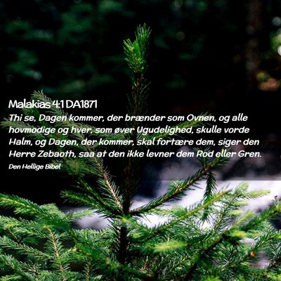 Picture 02 - Malakias 4:1 DA1871 - Thi se, Dagen kommer, der brænder som Ovnen, og - Bible Verse Picture