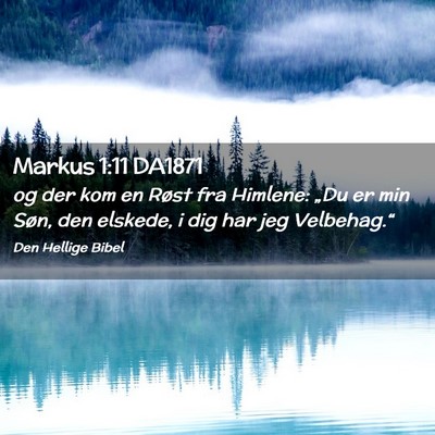 Picture 02 - Markus 1:11 DA1871 - og der kom en Røst fra Himlene: „Du er min - Bible Verse Picture