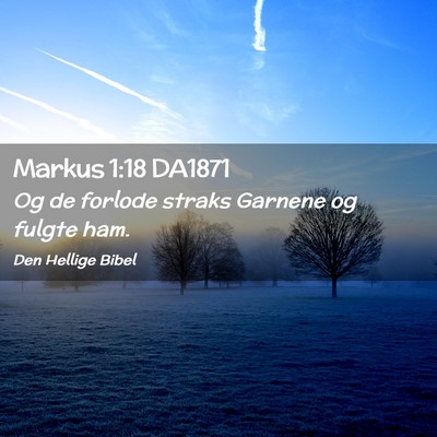 Picture 02 - Markus 1:18 DA1871 - Og de forlode straks Garnene og fulgte - Bible Verse Picture
