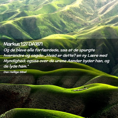 Picture 02 - Markus 1:27 DA1871 - Og de bleve alle forfærdede, saa at de spurgte - Bible Verse Picture
