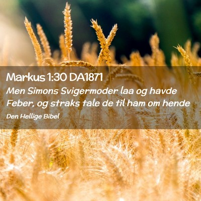 Picture 02 - Markus 1:30 DA1871 - Men Simons Svigermoder laa og havde Feber, og - Bible Verse Picture