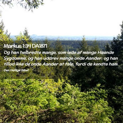 Picture 02 - Markus 1:34 DA1871 - Og han helbredte mange, som lede af mange Haande - Bible Verse Picture