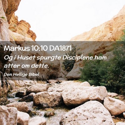 Picture 02 - Markus 10:10 DA1871 - Og i Huset spurgte Disciplene ham atter om - Bible Verse Picture