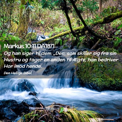 Picture 02 - Markus 10:11 DA1871 - Og han siger til dem: „Den, som skiller sig fra - Bible Verse Picture