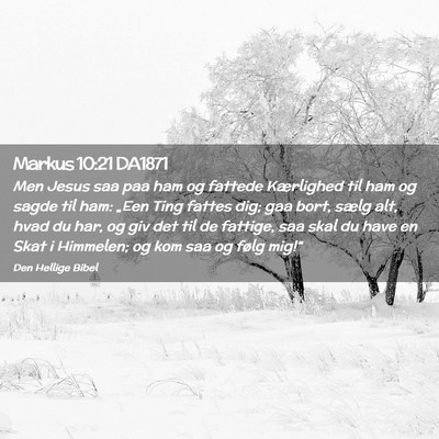 Picture 02 - Markus 10:21 DA1871 - Men Jesus saa paa ham og fattede Kærlighed til - Bible Verse Picture
