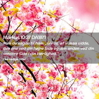 Picture 02 - Markus 10:37 DA1871 - Men de sagde til ham: „Giv os, at vi maa sidde, - Bible Verse Picture
