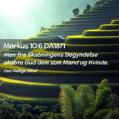 Picture 02 - Markus 10:6 DA1871 - Men fra Skabningens Begyndelse skabte Gud dem som - Bible Verse Picture