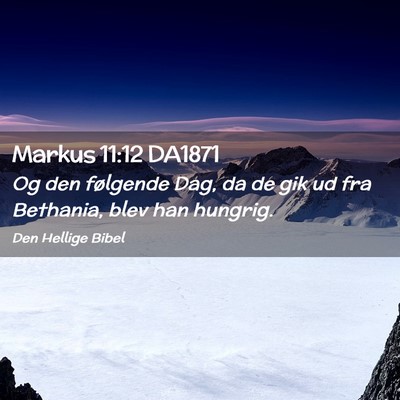 Picture 02 - Markus 11:12 DA1871 - Og den følgende Dag, da de gik ud fra Bethania, - Bible Verse Picture