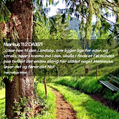 Picture 02 - Markus 11:2 DA1871 - „Gaar hen til den Landsby, som ligger lige for - Bible Verse Picture