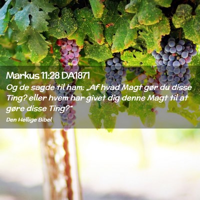 Picture 02 - Markus 11:28 DA1871 - Og de sagde til ham: „Af hvad Magt gør du - Bible Verse Picture