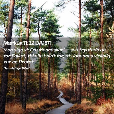 Picture 02 - Markus 11:32 DA1871 - Men sige vi: Fra Mennesker“ — saa frygtede de - Bible Verse Picture