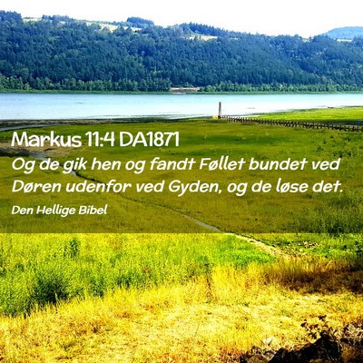 Picture 02 - Markus 11:4 DA1871 - Og de gik hen og fandt Føllet bundet ved Døren - Bible Verse Picture