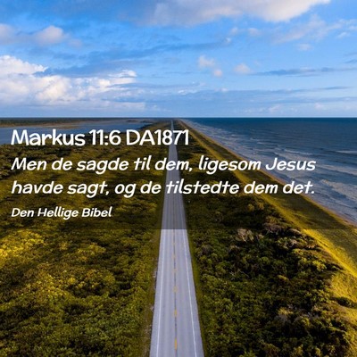 Picture 02 - Markus 11:6 DA1871 - Men de sagde til dem, ligesom Jesus havde sagt, - Bible Verse Picture