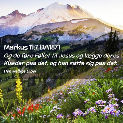 Picture 02 - Markus 11:7 DA1871 - Og de føre Føllet til Jesus og lægge deres - Bible Verse Picture