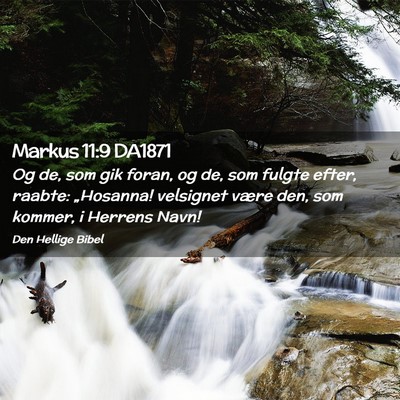 Picture 02 - Markus 11:9 DA1871 - Og de, som gik foran, og de, som fulgte efter, - Bible Verse Picture