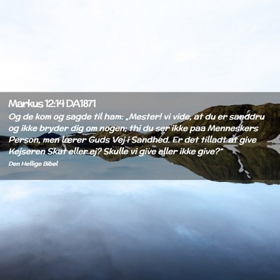 Picture 02 - Markus 12:14 DA1871 - Og de kom og sagde til ham: „Mester! vi vide, - Bible Verse Picture