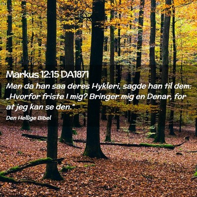 Picture 02 - Markus 12:15 DA1871 - Men da han saa deres Hykleri, sagde han til dem: - Bible Verse Picture