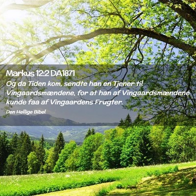 Picture 02 - Markus 12:2 DA1871 - Og da Tiden kom, sendte han en Tjener til - Bible Verse Picture