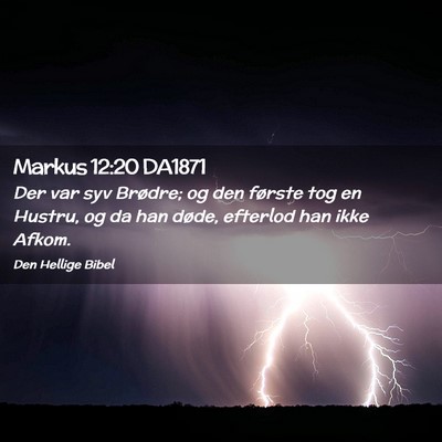 Picture 02 - Markus 12:20 DA1871 - Der var syv Brødre; og den første tog en - Bible Verse Picture