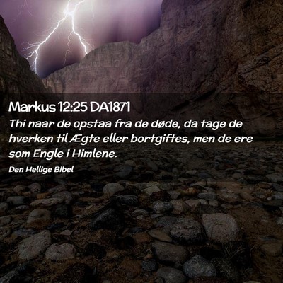 Picture 02 - Markus 12:25 DA1871 - Thi naar de opstaa fra de døde, da tage de - Bible Verse Picture