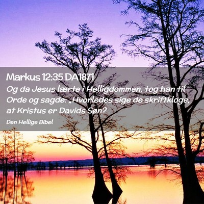 Picture 02 - Markus 12:35 DA1871 - Og da Jesus lærte i Helligdommen, tog han til - Bible Verse Picture