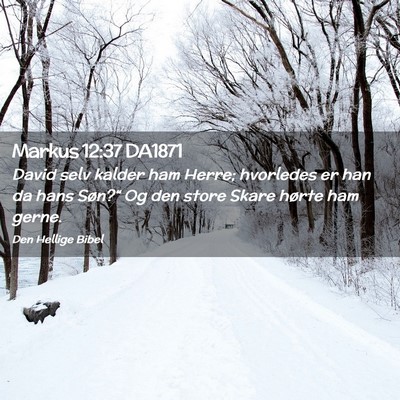 Picture 02 - Markus 12:37 DA1871 - David selv kalder ham Herre; hvorledes er han da - Bible Verse Picture