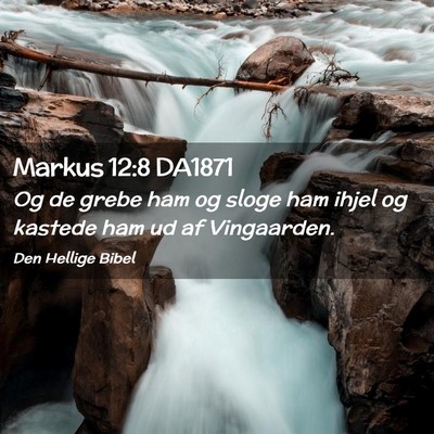 Picture 02 - Markus 12:8 DA1871 - Og de grebe ham og sloge ham ihjel og kastede ham - Bible Verse Picture