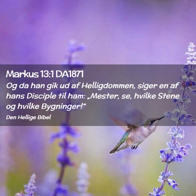 Picture 02 - Markus 13:1 DA1871 - Og da han gik ud af Helligdommen, siger en af - Bible Verse Picture