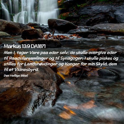 Picture 02 - Markus 13:9 DA1871 - Men I, tager Vare paa eder selv; de skulle - Bible Verse Picture