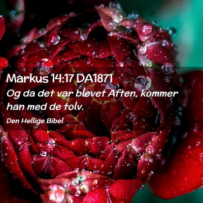 Picture 02 - Markus 14:17 DA1871 - Og da det var blevet Aften, kommer han med de - Bible Verse Picture