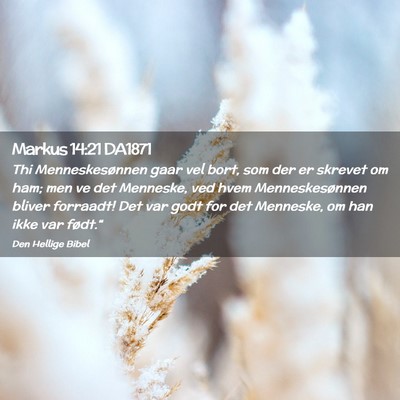 Picture 02 - Markus 14:21 DA1871 - Thi Menneskesønnen gaar vel bort, som der er - Bible Verse Picture