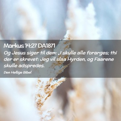Picture 02 - Markus 14:27 DA1871 - Og Jesus siger til dem: „I skulle alle - Bible Verse Picture