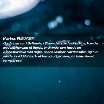 Picture 02 - Markus 14:3 DA1871 - Og da han var i Bethania, i Simon den spedalskes - Bible Verse Picture