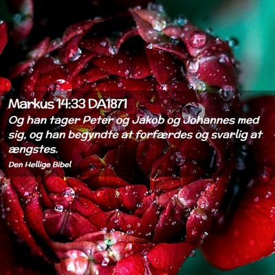 Picture 02 - Markus 14:33 DA1871 - Og han tager Peter og Jakob og Johannes med sig, - Bible Verse Picture