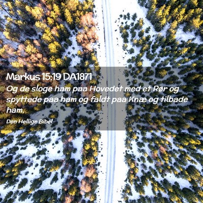 Picture 02 - Markus 15:19 DA1871 - Og de sloge ham paa Hovedet med et Rør og - Bible Verse Picture