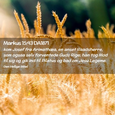 Picture 02 - Markus 15:43 DA1871 - kom Josef fra Arimathæa, en anset Raadsherre, - Bible Verse Picture