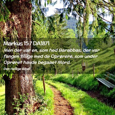 Picture 02 - Markus 15:7 DA1871 - Men der var en, som hed Barabbas, der var fangen - Bible Verse Picture