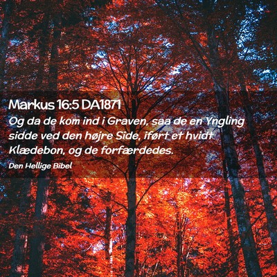 Picture 02 - Markus 16:5 DA1871 - Og da de kom ind i Graven, saa de en Yngling - Bible Verse Picture