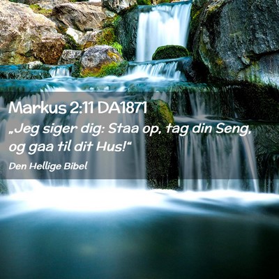 Picture 02 - Markus 2:11 DA1871 - „Jeg siger dig: Staa op, tag din Seng, og gaa - Bible Verse Picture