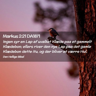Picture 02 - Markus 2:21 DA1871 - Ingen syr en Lap af uvalket Klæde paa et gammelt - Bible Verse Picture