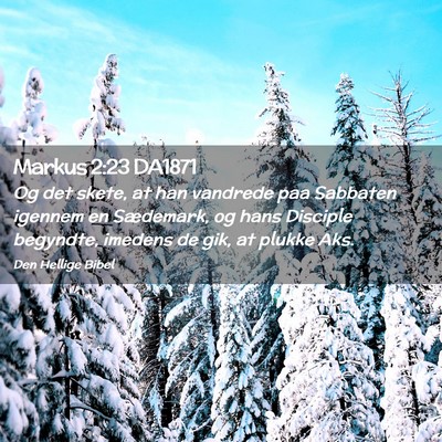 Picture 02 - Markus 2:23 DA1871 - Og det skete, at han vandrede paa Sabbaten - Bible Verse Picture