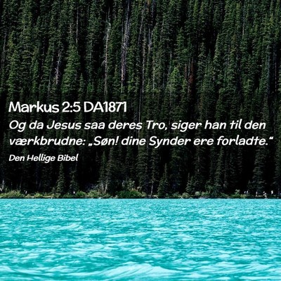 Picture 02 - Markus 2:5 DA1871 - Og da Jesus saa deres Tro, siger han til den - Bible Verse Picture