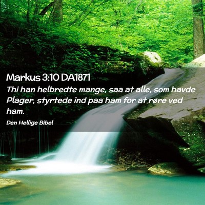 Picture 02 - Markus 3:10 DA1871 - Thi han helbredte mange, saa at alle, som havde - Bible Verse Picture
