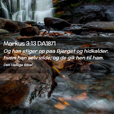 Picture 02 - Markus 3:13 DA1871 - Og han stiger op paa Bjerget og hidkalder, hvem - Bible Verse Picture