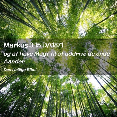 Picture 02 - Markus 3:15 DA1871 - og at have Magt til at uddrive de onde - Bible Verse Picture