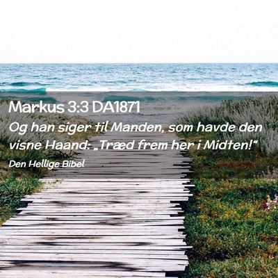 Picture 02 - Markus 3:3 DA1871 - Og han siger til Manden, som havde den visne - Bible Verse Picture