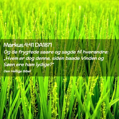 Picture 02 - Markus 4:41 DA1871 - Og de frygtede saare og sagde til hverandre: - Bible Verse Picture