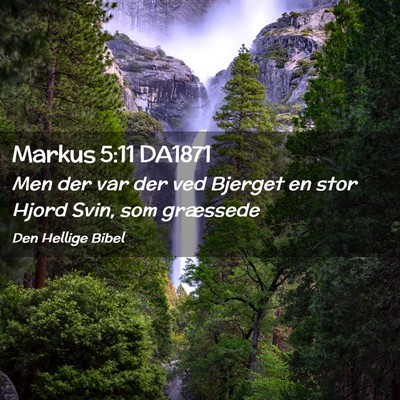 Picture 02 - Markus 5:11 DA1871 - Men der var der ved Bjerget en stor Hjord Svin, - Bible Verse Picture